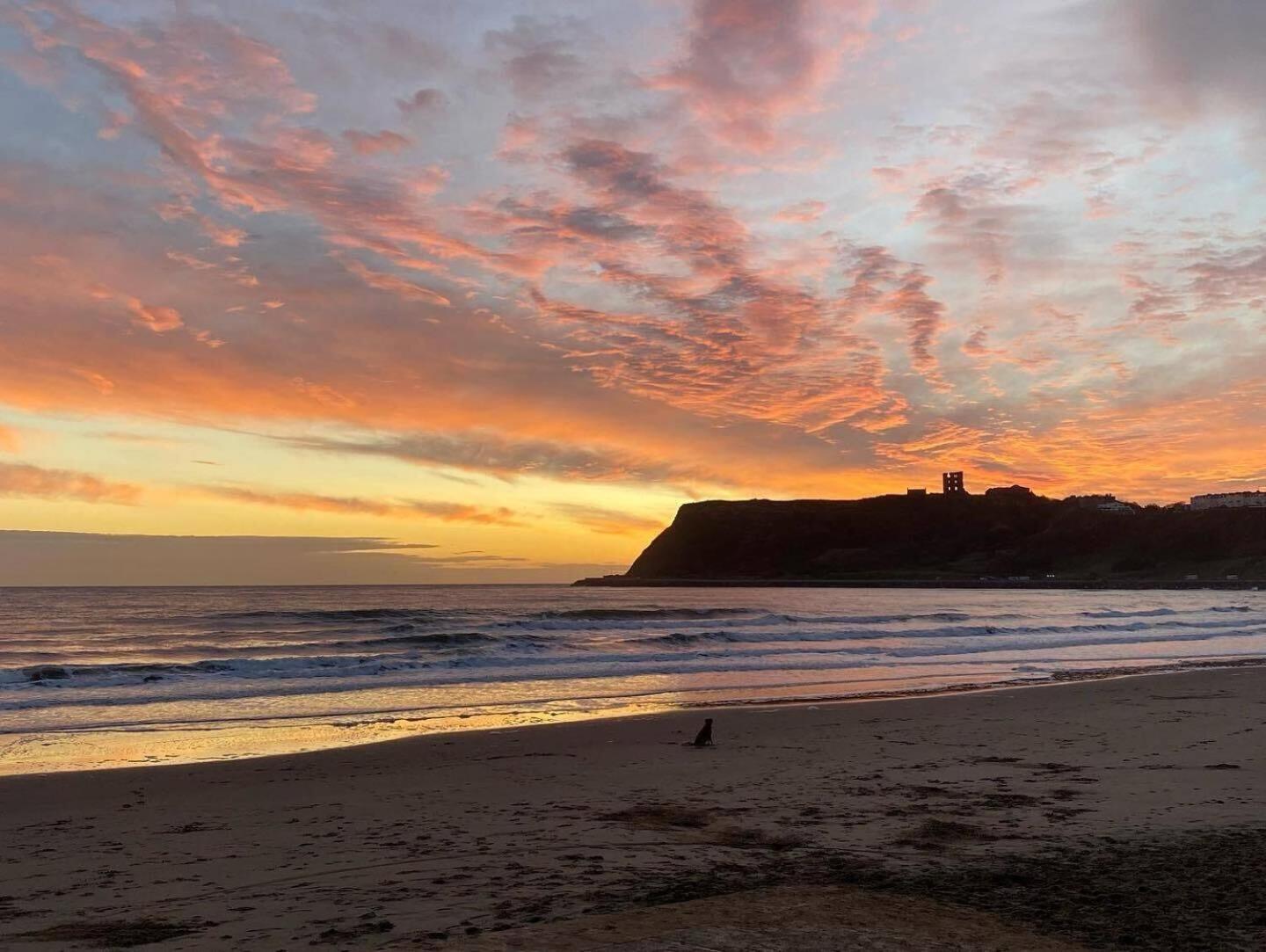 Bay View - Amazing Location With Sea Views! Aparthotel Scarborough Exterior photo